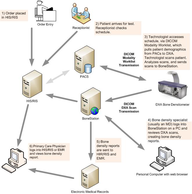 BoneStation System Workflow